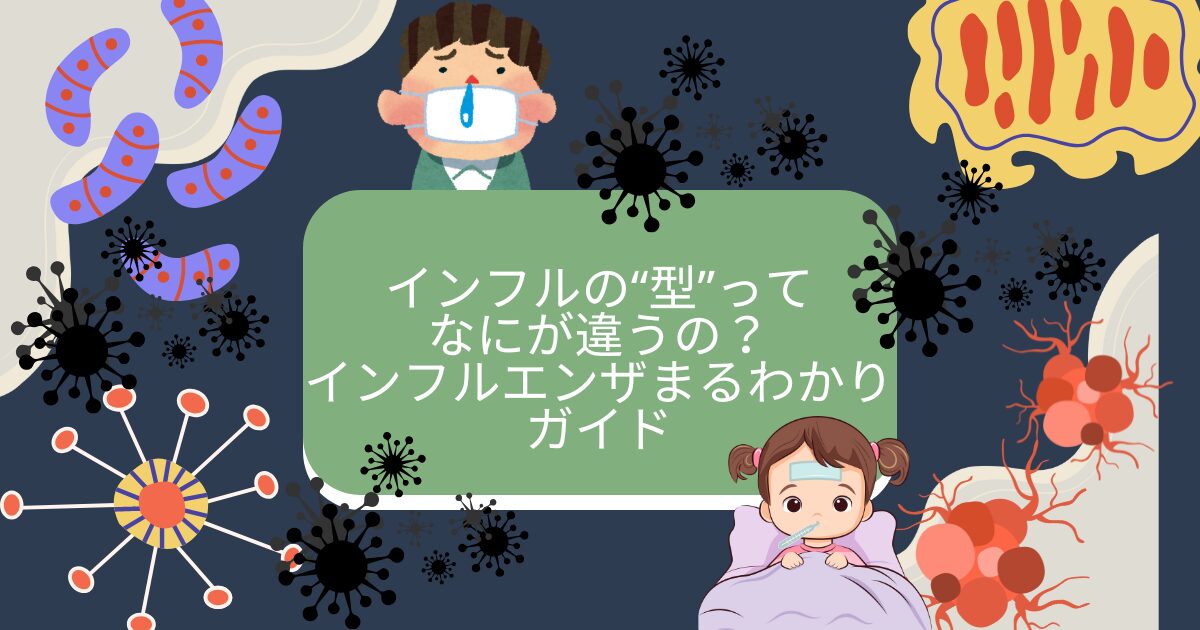 インフルエンザの型の違い