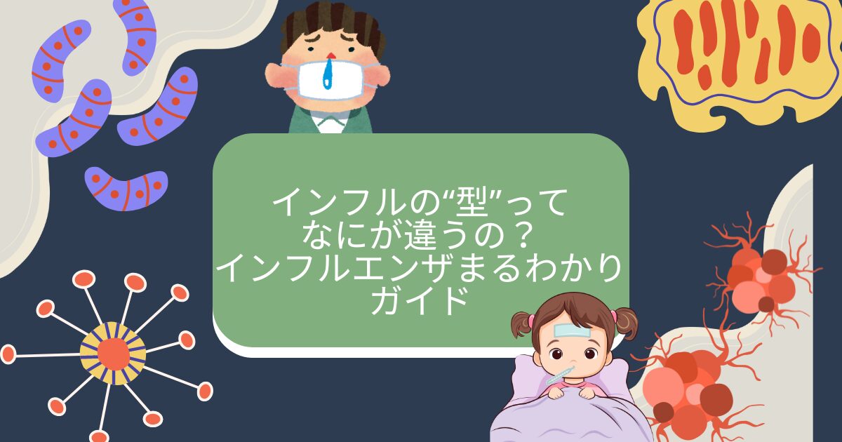 インフルエンザの型の違い2