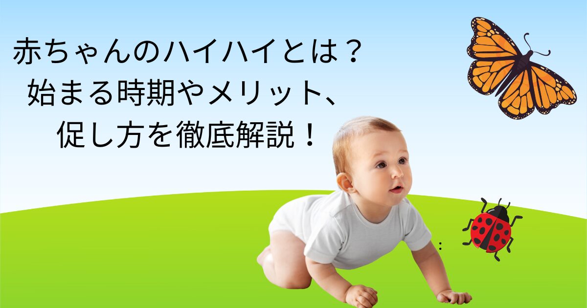 ハイハイ